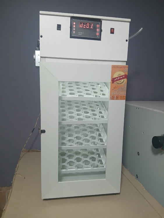 جوجه کشی آریا