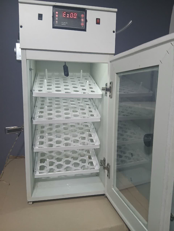 دستگاه جوجه کشی